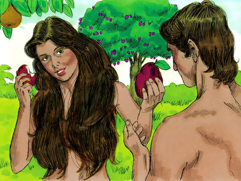 Wtedy kobieta zobaczyła, że owoce tego drzewa są dobre do zjedzenia, i że wyglądają pięknie, a w dodatku dzięki nim mogło się spełnić jej pragnienie poznania. Sięgnęła więc  po owoc, zerwała i zjadła. Potem podała też owoc Adamowi, który z nią był, i on też jadł. – Slajd 5