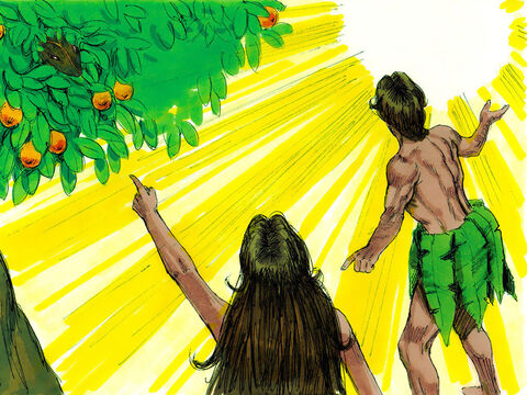 Adam odpowiedział: „Usłyszałem cię w ogrodzie i przestraszyłem się, bo jestem nagi i dlatego się ukryłem”. „Kto ci powiedział, że jesteś nagi?”,  zapytał Bóg. „Czy jadłeś owoc z drzewa, z którego zakazałem ci jeść?”. Wtedy Adam odpowiedział: „To kobieta, którą mi dałeś, by była ze mną. To ona dała mi owoc z tego drzewa i zjadłem go. – Slajd 8