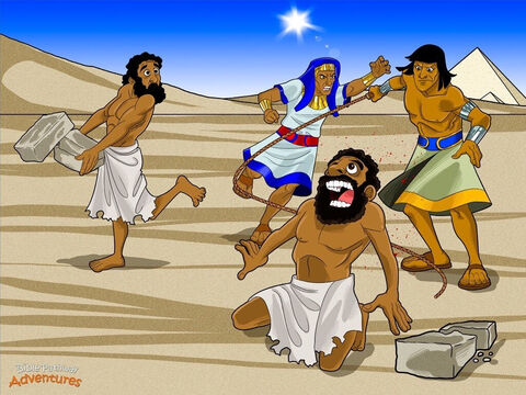 Pewnego dnia, gdy Mojżesz był już dorosły, odkrył, że jest Hebrajczykiem. Wyruszył w odwiedziny do swojej prawdziwej rodziny, która mieszkała w części Egiptu zwanej Goszen. Kiedy przyglądał się, jak wyrabiają cegły z gliny, zobaczył Egipcjanina bijącego hebrajskiego niewolnika.<br/>Serce Mojżesza napełniło się gniewem. „Jak śmiesz bić tego niewolnika!” – krzyknął Mojżesz i zabił Egipcjanina, a potem zakopał jego ciało w piasku. Następnego dnia Mojżesz wyszedł na zewnątrz i zobaczył dwóch walczących ze sobą Hebrajczyków. „Dlaczego bijesz swojego bliźniego?” – zapytał tego mężczyzny. <br/>„Kim jesteś, żebyś mi mówił, co mam robić? – odpowiedział ten człowiek. – Czy zabijesz mnie tak, jak zabiłeś Egipcjanina?”.<br/>Serce Mojżesza waliło ze strachu. Kto jeszcze wiedział, że zabił Egipcjanina?<br/>Kiedy faraon usłyszał, co zrobił Mojżesz, powiedział: „Znajdźcie go i zabijcie!”. <br/>Mojżesz wiedział, że ma kłopoty. Uciekł do kraju Madianitów, z dala od pałacu faraona. – Slajd 5