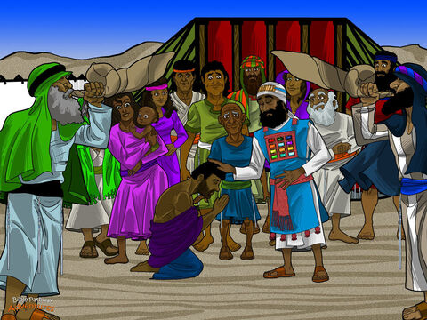 Natan nie tracił czasu. Wsadził Salomona na osiołka i zawiózł go do źródła Gihon. Tam Salomon uklęknął przed ludem. Arcykapłan wziął róg z oliwą i wylał ją na głowę Salomona. „Jesteś teraz następnym królem Izraela” – powiedział.<br/>Izraelici klaskali i wiwatowali, wszędzie rozlegał się dźwięk szofarów. „Niech żyje król Salomon! Niech żyje król!” – śpiewali Izraelici. Szli za Salomonem do miasta, grając na instrumentach i krzycząc z radości.<br/>Wieść o Salomonie szybko rozeszła się po Jerozolimie. W krótkim czasie dotarła ona do uszu przyjaciół Adoniasza. Ich twarze pobladły, a kolana ugięły się ze strachu. Wiwatowali na cześć niewłaściwego króla! Adoniasz też się bał. Salomon mógł go zabić za to, co zrobił. Jednak nie miał się czego obawiać. Salomon zlitował się nad nim i pozwolił mu żyć. – Slajd 2