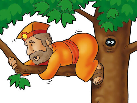 Jeden człowiek z tłumu nie mógł zobaczyć Jezusa! Spójrz, to Zacheusz! Był tak niski, że musiał wspiąć się na duże drzewo, żeby widzieć Jezusa. – Slajd 3