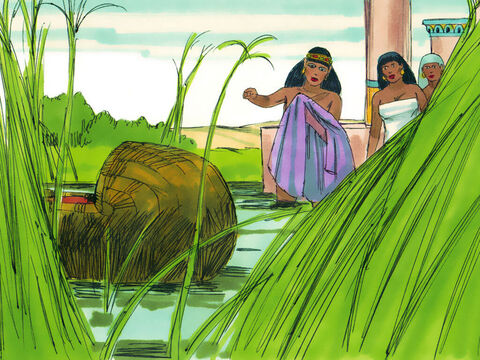 W pewnej chwili córka faraona przyszła, aby wykąpać się w Nilu. Zobaczyła wtedy pośród sitowia kosz i kazała go przynieść jednej ze służących. – Slajd 18