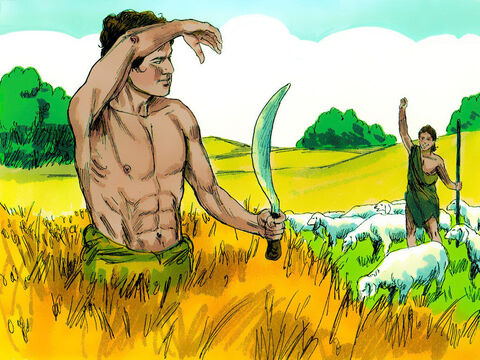 Kiedy chłopcy dorośli, Kain uprawiał ziemię, a Abel został pasterzem owiec.<br/> – Slajd 2