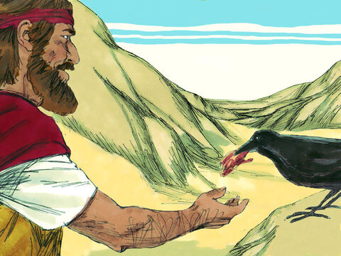 Kruki to ptaki, które były raczej postrzegane negatywnie. Bóg wybrał je jednak, aby przynosiły Eliaszowi mięso i chleb rano oraz  wieczorem. Wodę pił z potoku Kerit. – Slajd 10