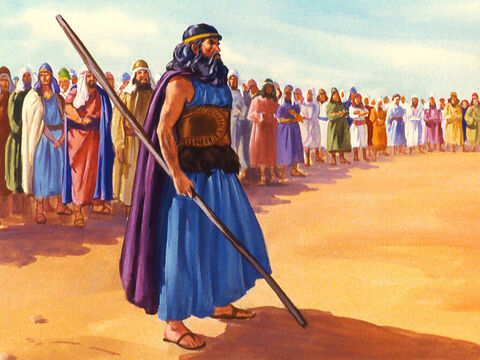 Eliasz ogłosił: „Jestem jednym prorokiem Pana, który ocalał, ale proroków Baala jest czterystu pięćdziesięciu. – Slajd 25