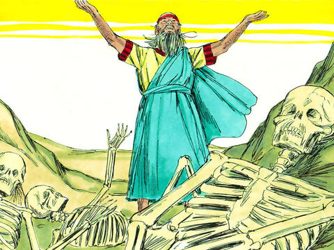 Ezechiel prorokował, tak jak kazał mu Bóg. Wtedy nagle usłyszał szum i trzask. To kości łączyły się jedna z drugą. – Slajd 5