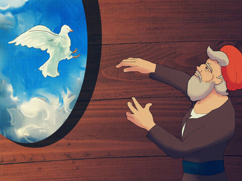 Potem Noe wypuścił gołębia, a ten wyleciał z jego ręki. Gołąb jednak także wrócił do Noego, ponieważ  nie znalazł miejsca do wylądowania. – Slajd 3