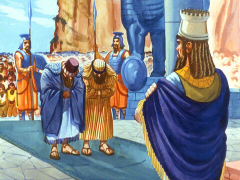 Dwaj Chaldejczycy nie tracili czasu. Opowiedzieli  królowi, co widzieli. Zazdrościli Szadrakowi, Meszakowi i Abed-Nego. – Slajd 20