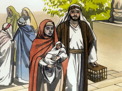 Kiedy zakończył się okres poporodowego oczyszczenia, ustalony w Prawie Mojżesza, rodzice zanieśli Jezusa do Jerozolimy, aby Go poświęcić Panu (tak jak było to napisane, że każdy pierworodny syn będzie poświęcony Panu). – Slajd 1