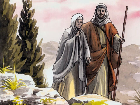 Wrócili więc do Jerozolimy, aby Go szukać. – Slajd 6