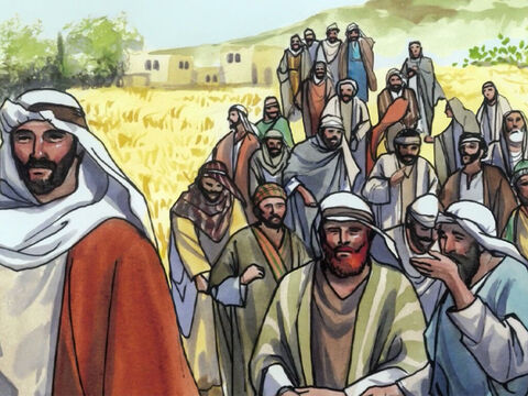 … Jego uczniowie zrywali kłosy, wyłuskiwali z nich ziarna i jedli. – Slajd 2