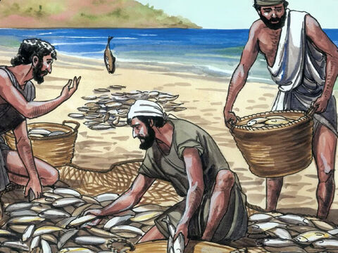 „Królestwo Niebios podobne jest również do sieci zarzuconej w morze, do której wpadają przeróżne ryby. Kiedy już się napełni, wyciąga się ją na brzeg i przebiera ryby. Dobre ryby wybiera się do naczyń, a złe wyrzuca”. – Slajd 6