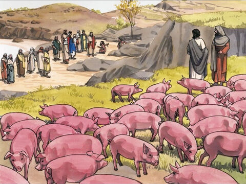W pobliżu zaś pasło się duże stado świń. – Slajd 4