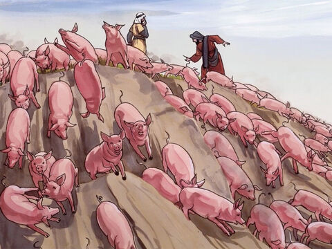 Wtedy one wyszły z opętanych i wstąpiły w świnie. – Slajd 7