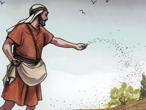 „A kiedy siał, niektóre ziarna padły na drogę”. – Slajd 4
