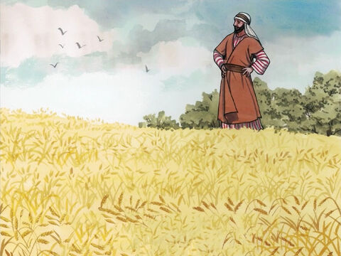 „Pozostałe ziarna padły na dobrą glebę i wydały plon”. – Slajd 8
