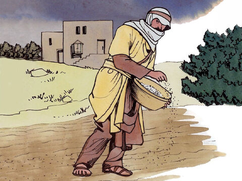 „Lecz kiedy wszyscy spali, zakradł się jego wróg, między pszenicę posiał chwasty i odszedł”. – Slajd 3