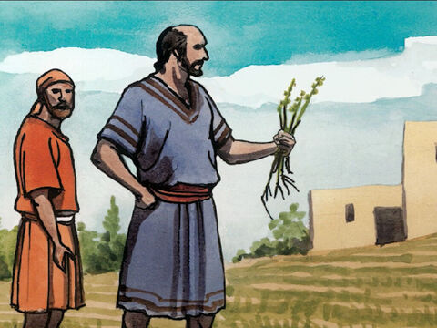A uczniowie poprosili Go, aby wyjaśnił im przypowieść o pszenicy i chwastach. – Slajd 16