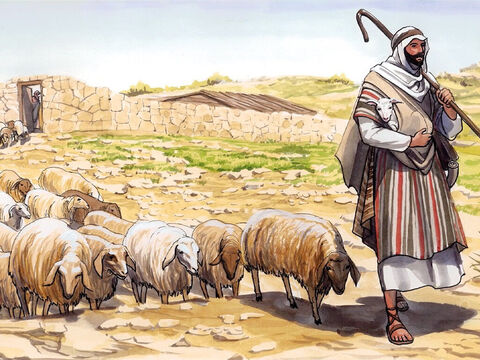 „Gdy wyprowadzi wszystkie swoje owce, idzie przed nimi, a one idą za nim, bo znają jego głos. Za obcym jednak nie pójdą, ale uciekną od niego, ponieważ nie znają głosu obcych”. – Slajd 3
