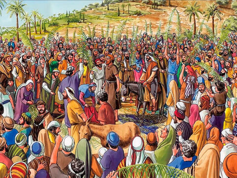 Tłumy, które za Nim szły wołały: „Hosanna Synowi Dawida! Chwała Temu, który przychodzi w imię PANA. Hosanna na wysokościach!”. – Slajd 7