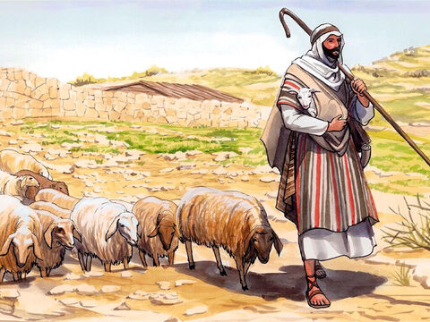 „Opiekuj się więc moimi owcami!” – odpowiedział Jezus. – Slajd 14