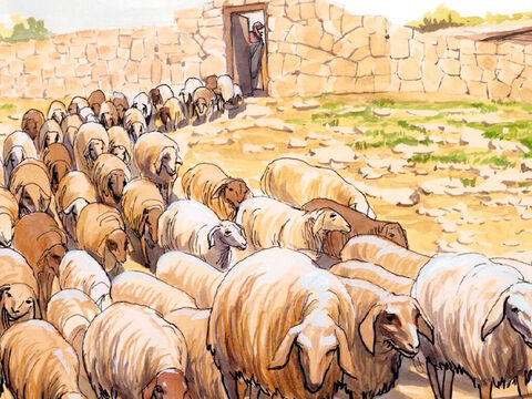 Pan znów mu powiedział: „Paś Moje owce! Zapewniam cię, że gdy byłeś młodszy, sam o sobie decydowałeś i chodziłeś, dokąd chciałeś. Ale gdy się zestarzejesz, ktoś inny zadecyduje o tobie i poprowadzi cię tam, dokąd nie chcesz”. – Slajd 16