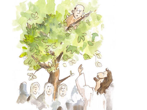 Kiedy Jezus przechodził pod drzewem, nagle zatrzymał się, spojrzał w górę i zobaczył Zacheusza. Co Jezus powiedział temu nieuczciwemu człowiekowi, którego wielu nienawidziło? <br/>„Zacheuszu, zejdź na dół. Chcę dziś zatrzymać się w twoim domu”. – Slajd 15