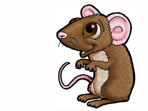 Zwierzęta w stajence – mysz – Slajd 30