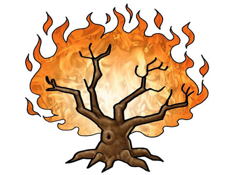 Płonący krzew – Slajd 2