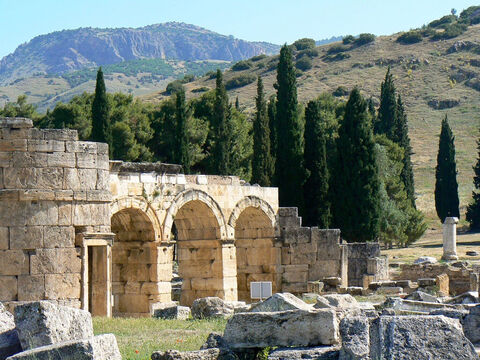Na zdjęciu cyprysy za Bramą Domicjana w Hierapolis w Turcji.<br/>Cyprys włoski lub wiecznie zielony (cupressus sempervirens) – to charakterystyczne drzewo, tak powszechne w rejonie Morza Śródziemnego, nie jest w Biblii wymienione z nazwy, ale z niego prawdopodobnie zrobiono krzyż. Jego kolumnowa forma z wyglądem w kształcie cygara sprawia, że ​​jest natychmiast rozpoznawalny. Bardzo często rósł na cmentarzach. Powodem, dla którego cyprys mógł być wykorzystany do wykonania krzyża był fakt, iż był pospolitym drzewem i miał prosty pień. Krzyże mogły być też zrobione z sosny z Aleppo lub sosny cypryjskiej.<br/>Niepewność co do drewna wykorzystywanego na krzyże wynika z tego, iż istnieje mało archeologicznych dowodów na ukrzyżowanie, chociaż w literaturze klasycznej jest wiele odniesień do tego okropnego sposobu egzekucji. Drewno nie przetrwa długo w kontakcie z ziemią, więc nie możemy spodziewać się znalezienia starych krzyży. Jedynym archeologicznym odkryciem, które rzuciło trochę światła na ukrzyżowanie było odkrycie kości ukrzyżowanego mężczyzny z gwoździem wciąż obecnym w kości skokowej. Na końcu gwoździa znajdowała się mała płytka lub podkładka wykonana z drewna oliwnego. Czy miało to uniemożliwić ofierze uwolnienie stopy, czy też, co bardziej prawdopodobne, zahamować przepływ krwi, aby przedłużyć śmierć i tortury?<br/>Drewno cyprysowe mogło być użyte do budowy arki Noego, ponieważ pojawiający się tam termin drewno żywiczne („gopher”) nawiązuje do żywicy, drzewa iglastego, żywicy do uszczelniania itp. – Slajd 7