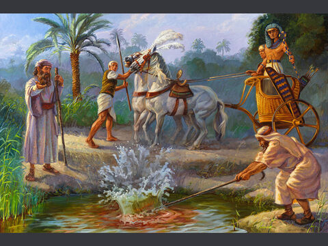 Pierwsza plaga: woda zamienia się w krew<br/>„Mojżesz i Aaron uczynili tak, jak rozkazał PAN: podniósł laskę i na oczach faraona i jego sług uderzył wody Nilu. I cała woda w Nilu zamieniła się w krew”. (Wyjścia 7:20)<br/>Pełny tekst: Księga Wyjścia 7:14–23 – Slajd 3