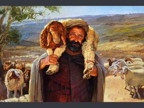 Przypowieść o zagubionej owcy 2.<br/>„Kiedy zaś znajdzie, z radością wkłada ją na swoje ramiona” (Łukasza  15:5).<br/>Pełny tekst: Łukasza  15:3–7 – Slajd 8