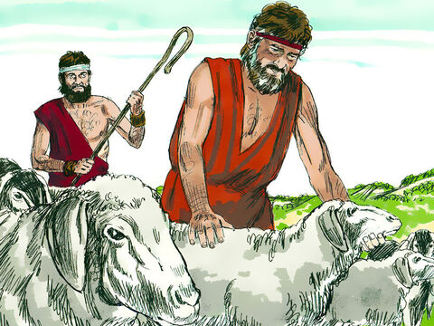 Jakub odpowiedział: „Pozostanę u ciebie, jeśli pozwolisz mi obejść twoje stada i wydzielić wszystkie jagnięta i koźlęta cętkowane i łaciate, oraz wszystkie owce czarne – niech to będzie moja zapłata”. Laban zgodził się na to.<br/> – Slajd 3