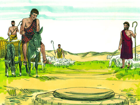 Kiedy Jakub zbliżył się do Haranu, zobaczył studnię przykrytą wielkim kamieniem. Przy studni pasły się trzy stada owiec. – Slajd 2