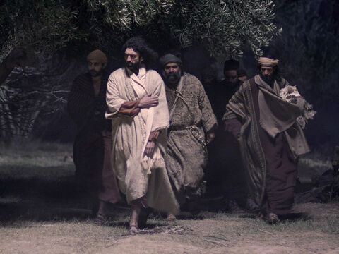 Po spożyciu uroczystej kolacji paschalnej, Jezus ze swoimi uczniami poszedł na Górę Oliwną, do miejsca, gdzie  zazwyczaj chodzili, do gaju oliwnego zwanego Ogrodem Getsemane. – Slajd 1