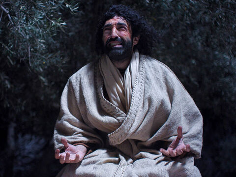 Jezus modli się w Getsemane, a Jego uczniowie śpią. (Mateusza 26:36-56, Marka 14:32-52, Łukasza 22:39-53, Jana 18:1-12) – Slajd 6