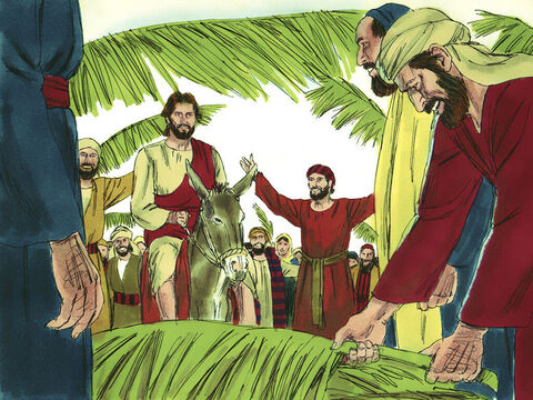 Wielu zaś ludzi rozkładało na drodze przed Jezusem swoje płaszcze i gałązki palmowe, inni zaś wymachiwali gałązkami palm. – Slajd 7