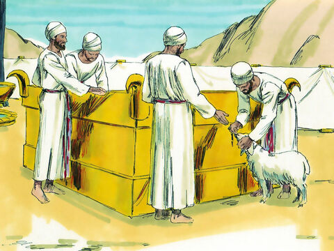 Jedno z plemion Izraela nie otrzymało ziemi – Lewici, ponieważ byli oni kapłanami Boga. Przyszli więc do kapłana Eleazara, Jozuego oraz naczelników pozostałych plemion i tak powiedzieli: „Pan nakazał przez Mojżesza dać nam miasta i przyległe do nich pastwiska dla naszego bydła". – Slajd 6