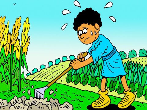 Kain uwielbiał uprawiać warzywa, ale to była ciężka praca – kopanie w gorącym słońcu i pielenie ogrodu. – Slajd 3