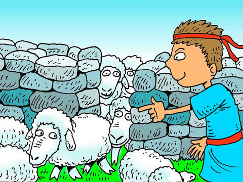 Dawid znał każdą owcę po imieniu. W nocy znajdował bezpieczne miejsce do spania dla swoich owiec. Liczył je, aby sprawdzić, czy są wszystkie. – Slajd 4