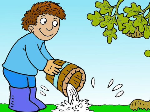 Następnie skopał ziemię dookoła drzewa figowego i zasilił je bogatym kompostem, aby rosło i dobrze podlewał korzenie. Z czasem miał nadzieję na dużo owoców. – Slajd 5