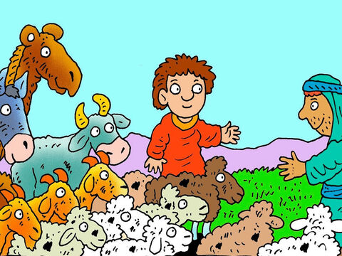 Jakub wysłał swoich służących z kilkoma stadami zwierząt, które posyłał jako prezent dla Ezawa  – wielbłądy, kozy, owce, krowy i osły, wszystkie z młodymi. – Slajd 6