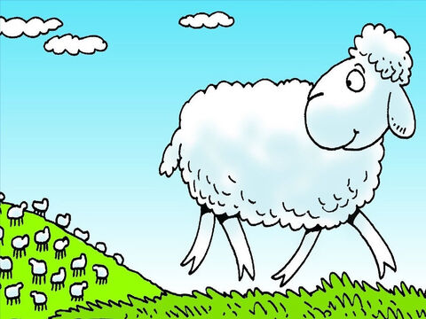 Każdego dnia pasterz zabierał swoje owce na poszukiwanie nowej trawy do jedzenia. Pewnego dnia, jedna mała owieczka oddaliła się od stada. – Slajd 3