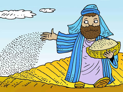 Jezus opowiedział historię o rolniku, który siał ziarno na polu. Chciał, aby nasiona dobrze rosły, by miał duże zbiory. – Slajd 2