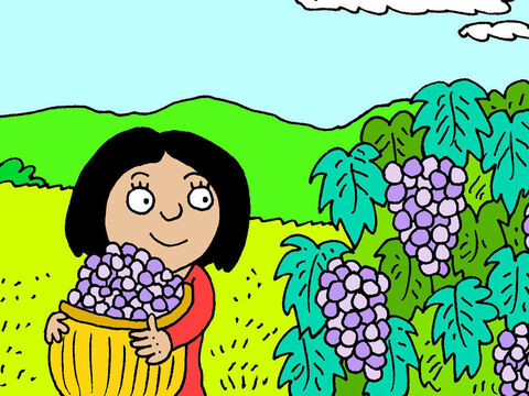 Pracuje w gorącym słońcu, dbając o winogrona, przycinając je i zbierając, aby spełniły się jej marzenia o przyszłości. – Slajd 7