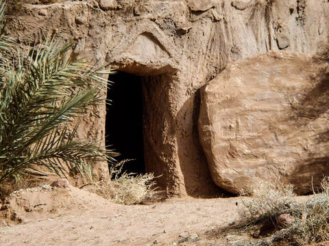 Po tym jak Jezus umarł na krzyżu, zmartwychwstał. – Slajd 2