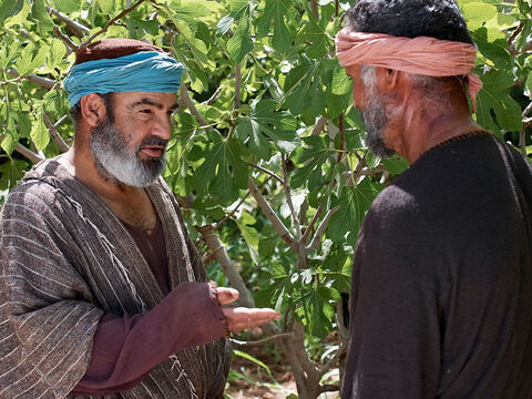 Jezus opowiada przypowieść o drzewie figowym, które nie przyniosło owocu. (Łukasza 13:6-9) – Slajd 2