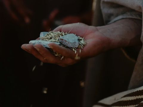Wtedy odkryli, że każdy z nich ma swoje pieniądze w worku. – Slajd 18