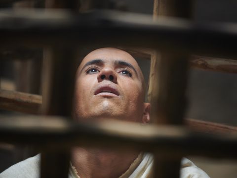 Tak więc podczaszy opowiedział swój sen Józefowi: „W moim śnie była przede mną winorośl. Na winorośli były trzy gałęzie, na których pojawiły się pączki, potem kwiaty i dojrzałe winogrona. Puchar faraona był w mojej dłoni, więc wziąłem winogrona, wycisnąłem je do jego pucharu i włożyłem puchar do ręki faraona”. – Slajd 7