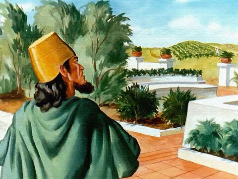 Król Achab od razu zechciał mieć tę winnicę. Właśnie tego potrzebował, aby powiększyć swój ogród! Mógł wyrwać winorośle i zasadzić, co tylko zechce. – Slajd 5